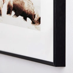 Wild And Free -Zgallerie webimage 630340428 DTL1 2