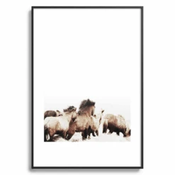 Wild And Free 10 Wild And Free -Zgallerie webimage 630340428 SIL