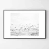 Seagulls Coast -Zgallerie webimage 630342225