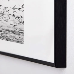 Seagulls Coast 8 Seagulls Coast -Zgallerie webimage 630342225 DTL1