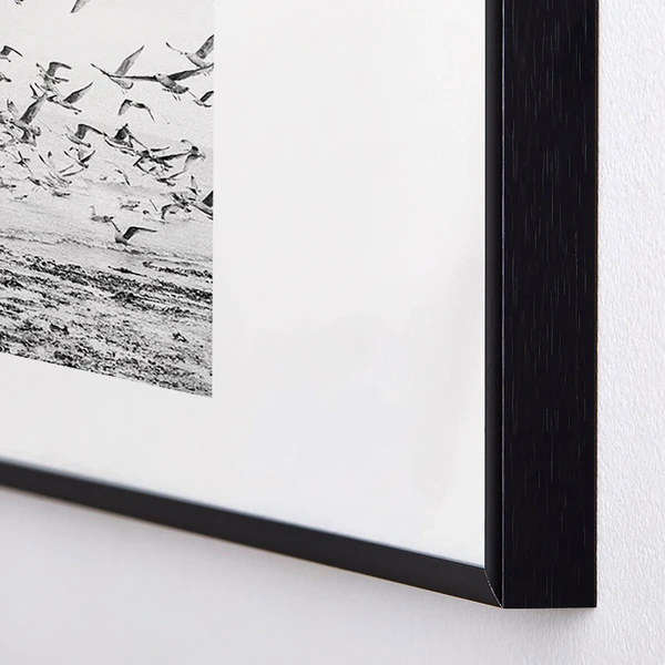 Seagulls Coast 4 Seagulls Coast - Image 2