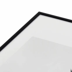 Seagulls Coast 9 Seagulls Coast -Zgallerie webimage 630342225 DTL2