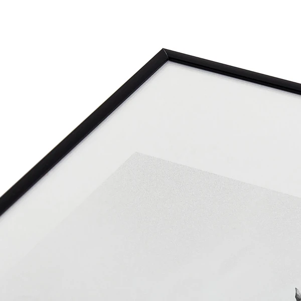 Seagulls Coast 5 Seagulls Coast - Image 3