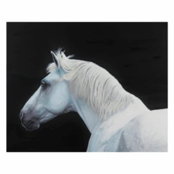 Luna -Zgallerie webimage 630384130 SIL