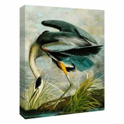 Curiosities 8 -Zgallerie webimage 630386556 ALT1