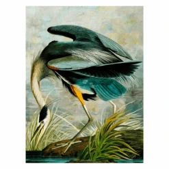 Curiosities 8 -Zgallerie webimage 630386556 SIL