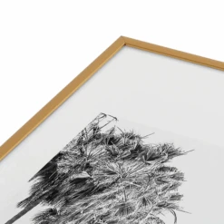 Laguna Cove -Zgallerie webimage 630608958 DTL2