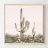 Pastel Pink Cactus 1 Pastel Pink Cactus -Zgallerie webimage 630620454