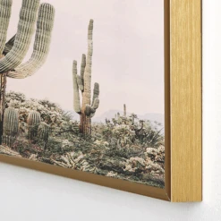 Pastel Pink Cactus 8 Pastel Pink Cactus -Zgallerie webimage 630620454 DTL1