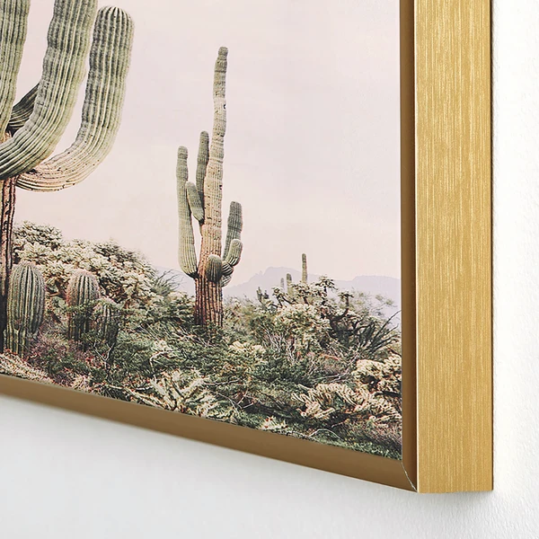 Pastel Pink Cactus 4 Pastel Pink Cactus - Image 2