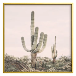 Pastel Pink Cactus -Zgallerie webimage 630620454 SIL 1