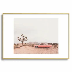 California Living -Zgallerie webimage 630667756 SIL