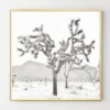 Joshua Tree Bliss -Zgallerie webimage 630693288