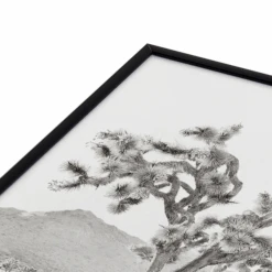 Joshua Tree Bliss -Zgallerie webimage 630693288 DTL2