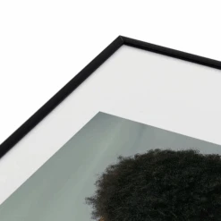 Venus 2 -Zgallerie webimage 630727209 DTL2