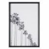 Sunset Palms 2 1 Sunset Palms 2 -Zgallerie webimage 725154241a jpg