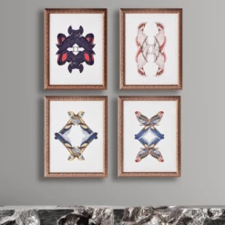 Calyptorhynchus Banksi -Zgallerie webimage 725303417 2 jpg