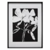 Whimsical Flowers 1 - Limited Edition -Zgallerie webimage 730540249 jpg 1