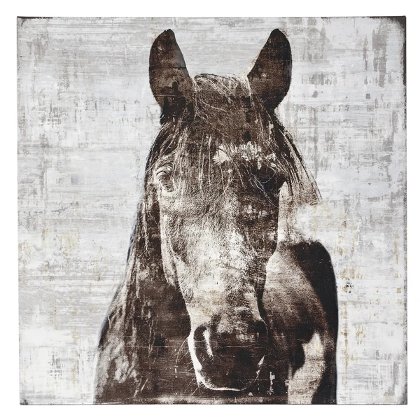 Winter Stallion 3 Winter Stallion