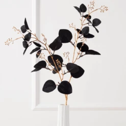 Eucalyptus Spray - Set Of 3