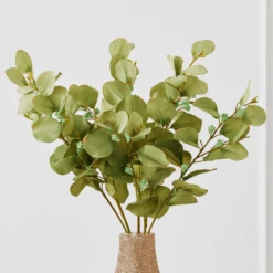 Eucalyptus Spray - Set Of 3