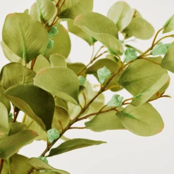 Eucalyptus Spray - Set Of 3 -Zgallerie webimage 999172481 dtl